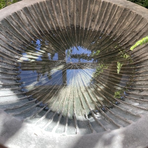 Campania Equinox Birdbath - Image 2