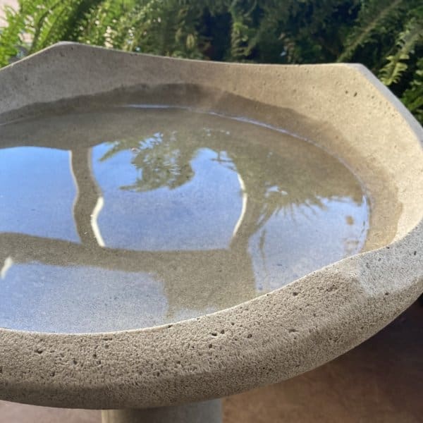 Campania Oslo Birdbath - Image 3
