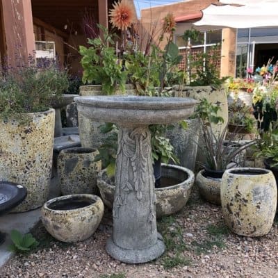 Campania Flores Birdbath