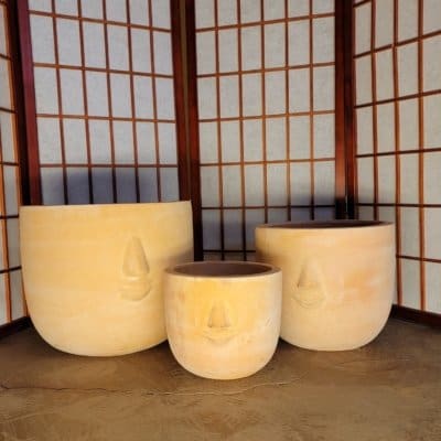 Masquerade Planter