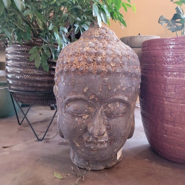 Campania Large Angkor Buddha