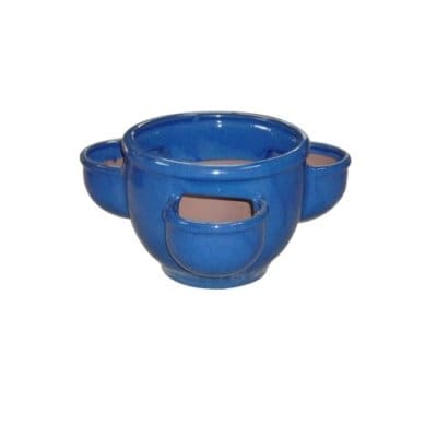 Lotus Herb Planter