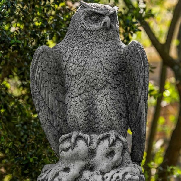 August Owl Statue