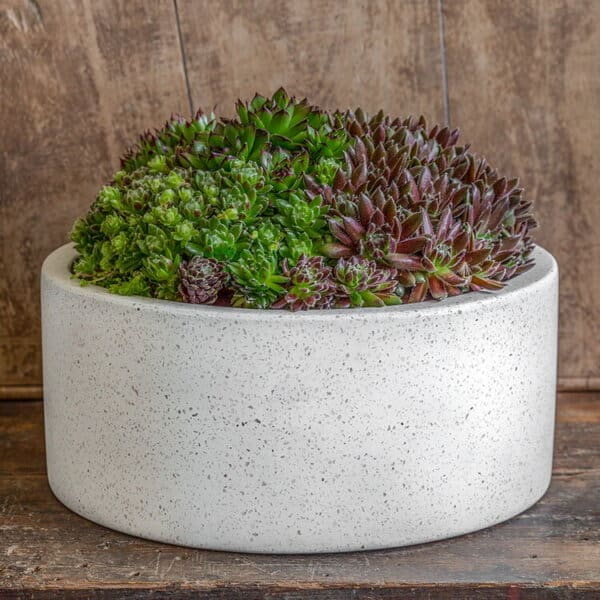 Campania Geo Cylinder Planter