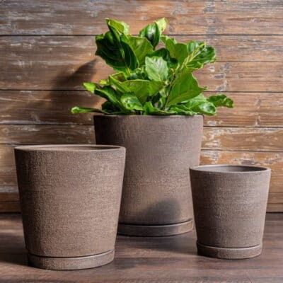 Campania I/O Tapered Cylinder - Peat