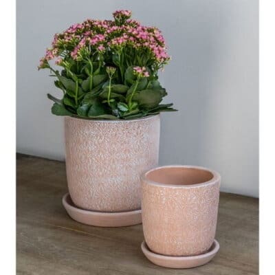 Campania Marguerite Planter - Shell Pink