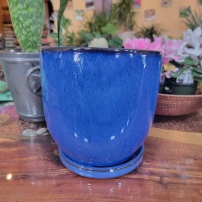 Campania I/O Cup Tall - Riviera Blue