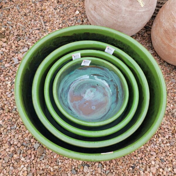 Kiel Low Water Bowl - Green - Image 2