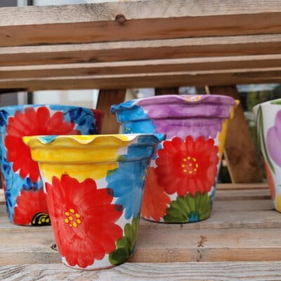 Crinkle Pot - Multiflor