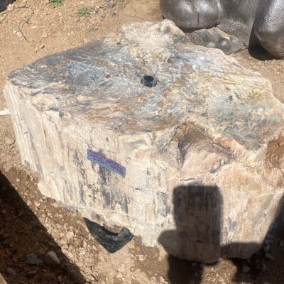 Petrified Wood Fountain by Greg Robertson (2)