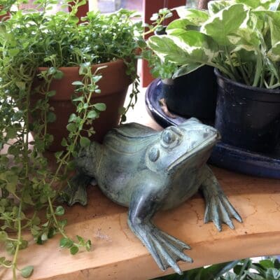 Jumping Frog Fountain