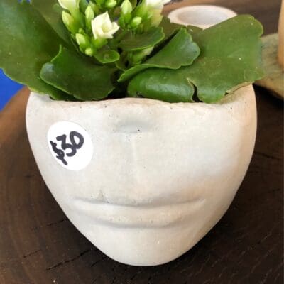 Head Planter