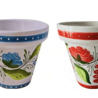 Lotus Granada - 6" planters