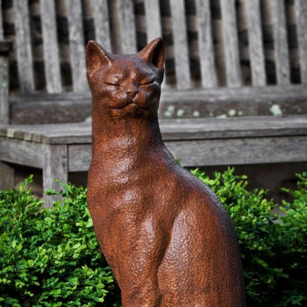 Campania Checkers Cat - Image 2