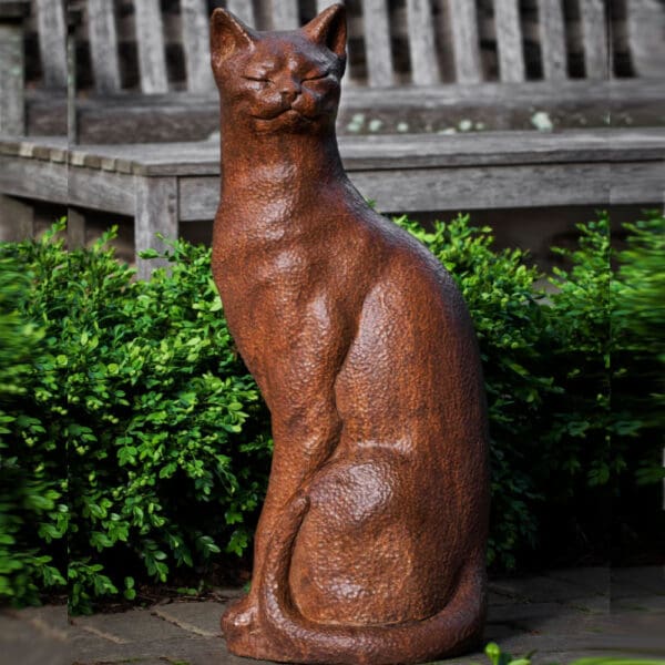 Campania Checkers Cat