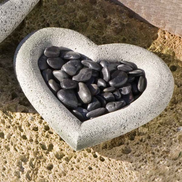 Campania Heart Shell