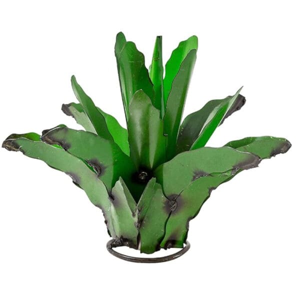 Agave - Rustic Arrow