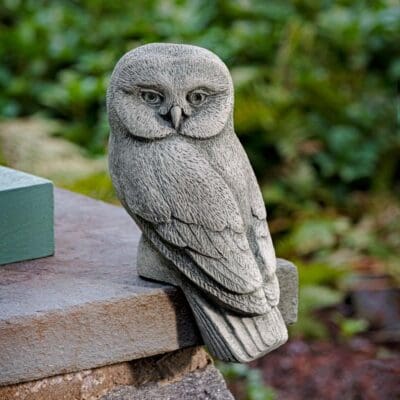 Campania Lunar Owl