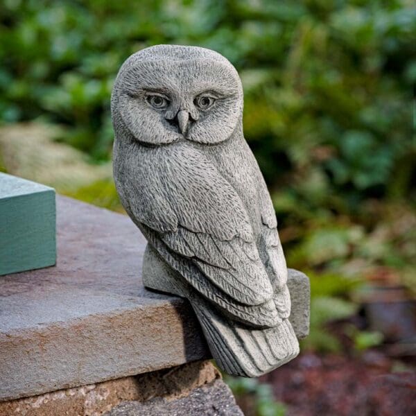 Campania Lunar Owl