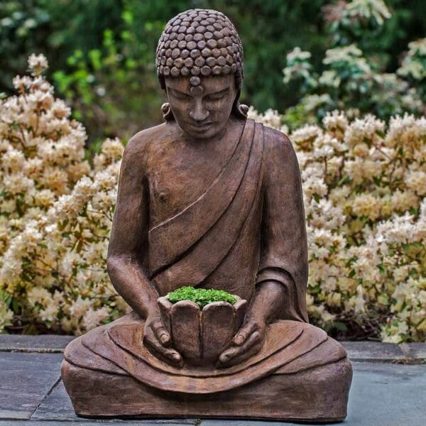 Campania Lotus Buddha