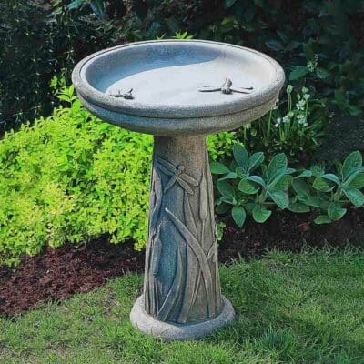 Campania Dragonfly Birdbath