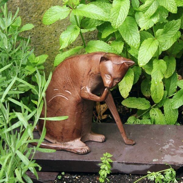 Achla Coy Cat