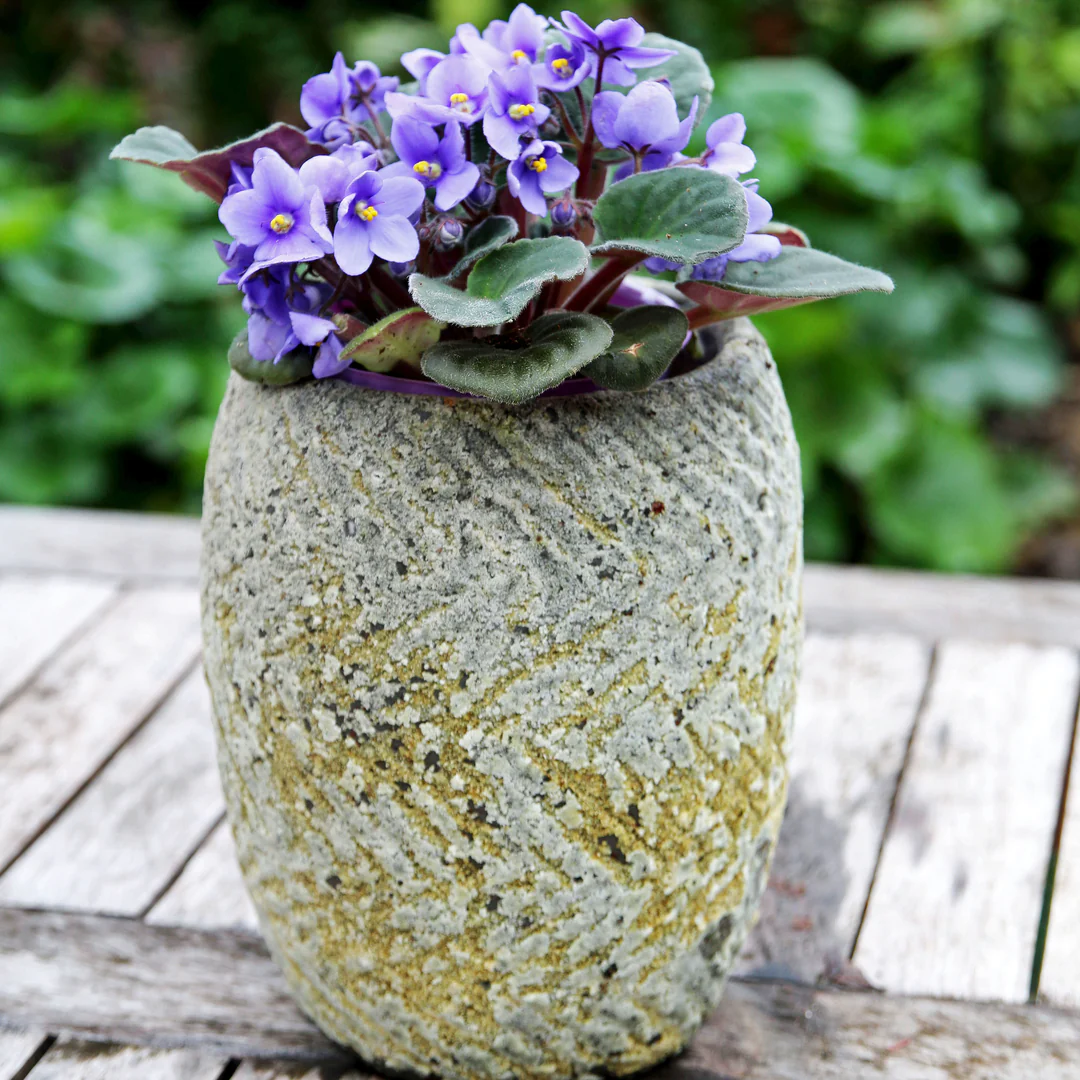 Anamese Drum Planter Aegean